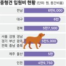 인하병원 이미지