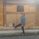 함평읍사무소 이미지