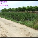 녹전1동 이미지