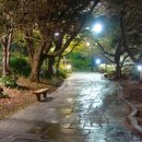 천지연폭포 이미지