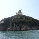 안흥유람선 이미지