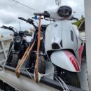 욜로모터스 이미지