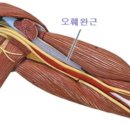 아이엠휘트니스스파 이미지