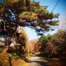 사나사(초입) 이미지