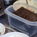 엄마손식당 이미지