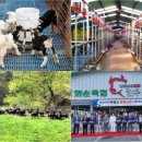 친환경흑염소농장 이미지