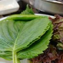 닭이봉 춘천닭갈비 이미지