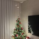 채아족발 이미지