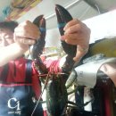 그리던바다 이미지