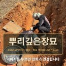 정읍 묘지이장 뿌리깊은장묘 (정직하게 모시는)