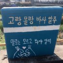 올레5