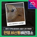 관악부영 | 동안구 보일러배관청소 비용 안양 비산동 보일러난방 안될때 (관악부영아파트 지역난방)