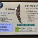 태기산더덕순대배곧점