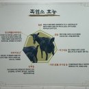 비래흑염소
