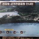 충남 청양 천장호출렁다리 이미지