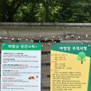 보개산야영장 네이버블로그