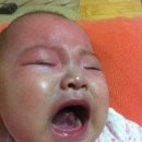 (주)세림여행 네이버블로그
