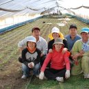 유금1리 이미지