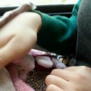 위니펫동물병원 이미지