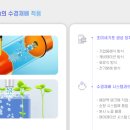 기포농장 이미지