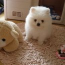 희야 - 평택시 특구로23번길 19 | 희야