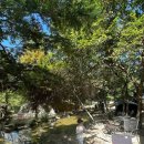 물가애 캠핑장 이미지