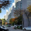 봉담세화의원 이미지