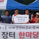 일일장터 티스토리
