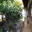 오성여관 이미지