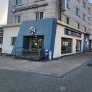 라온동물병원 이미지