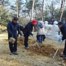 영천 치일리 인종태실 이미지