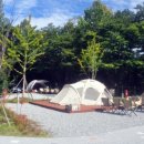 경상북도교육청 영덕오토캠핑장 이미지