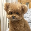 제나키친 이미지