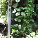 늘봄목장 이미지