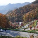 말티가는길 이미지