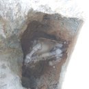 도봉-현장-서울도봉-1495 | 도봉구하수구 도봉구하수구막힘 도봉구하수구뚫음 갑작스런 막힘 해결 후기