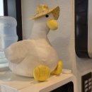 차돌로 | 과천 맛집 오리 더차돌 서울대공원 근처 내돈내산 후기