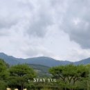 스테이율 이미지