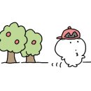 반포식육식당 이미지