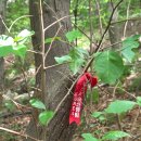 장산동국아파트경로당 | 백플 3.부산해운대구_장산