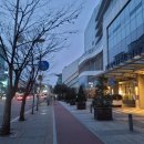 효자추모관 | 국제 강아지의 날을 맞아 경기도 반려마루 여주X연봉인상 유기견 봉사 후기
