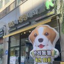 야옹아 멍멍해봐 별내점 이미지