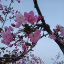 방개농장 이미지