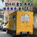 뽀송이크리닝 | [애견] 강아지 출장 목욕 &#34;뽀송뽀송&#34; 솔직후기!
