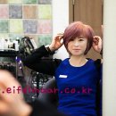 뷰티헤어칼라 이미지