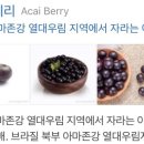 와이키키아일랜드