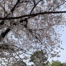 나라+고베투어 라쿠투어 내돈내산 후기