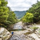 별천계곡 이미지