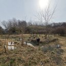 홍동농장 이미지