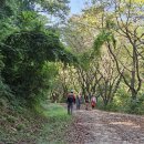 계족산 황톳길 이미지